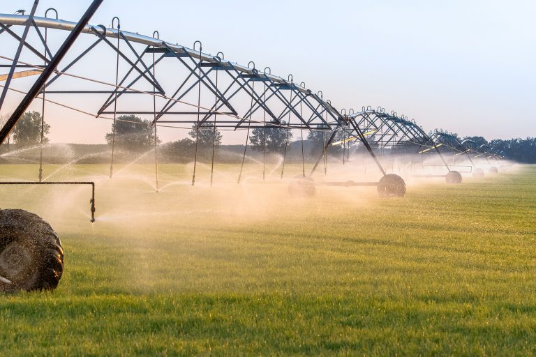 agriculture