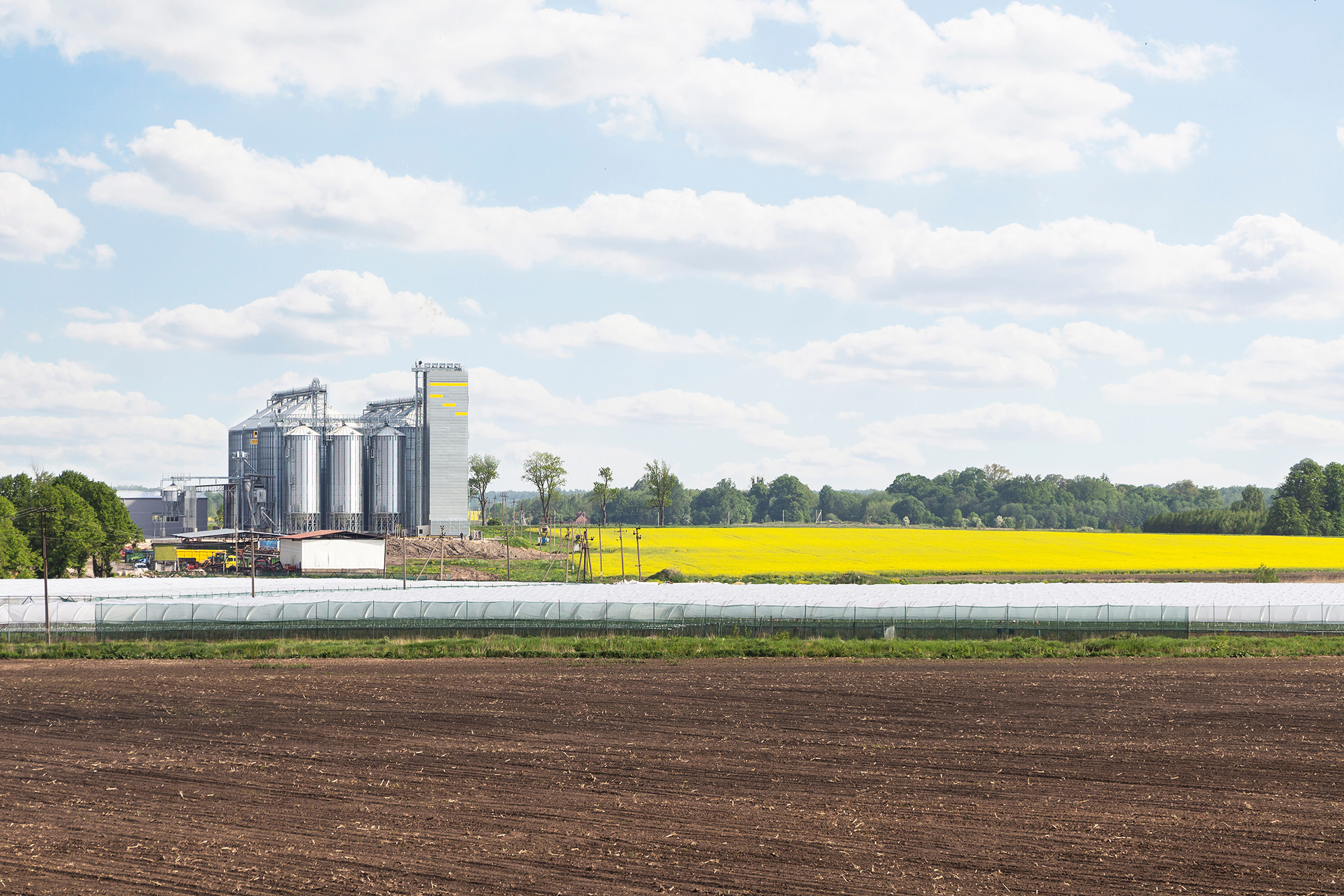 bioeconomy