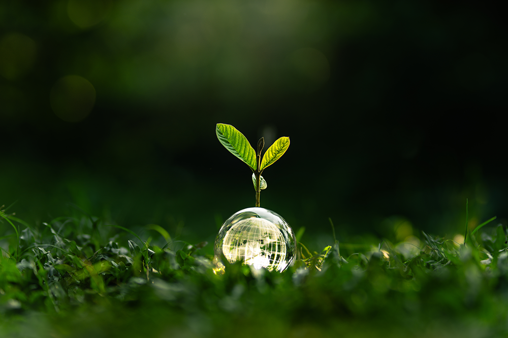innov-sustainability